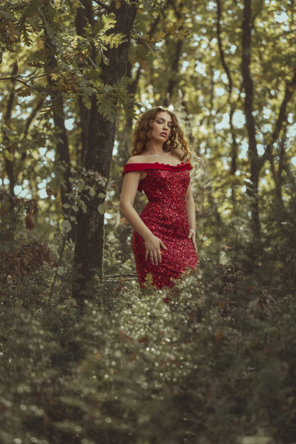 Long Red Sequin Dress with Long Red Cape - Image 2